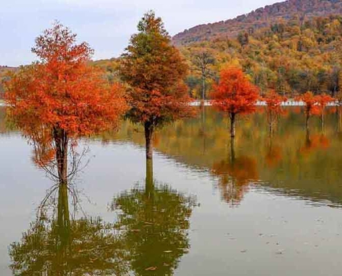 alandan-information-2 آب بندان پله ازنی ساری