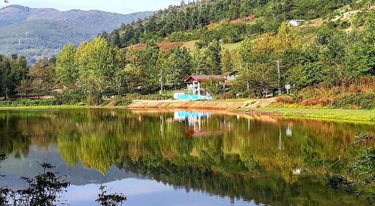 halimejan information