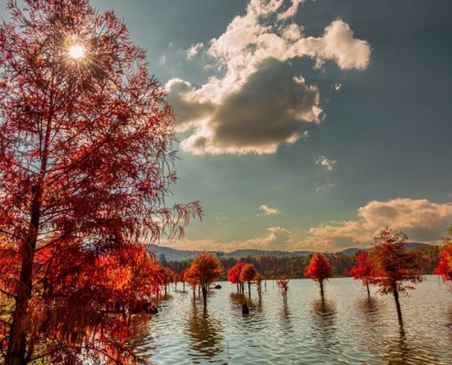 alandan-information-2 دریاچه الندان در جاده کیاسر مازندران کجاست