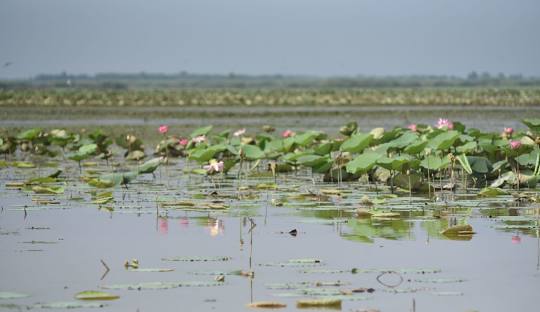 anzali lagoon 1 anzali lagoon 1