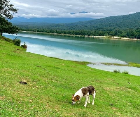 avidar lake 2 کنار دریاچه آویدر مازندران