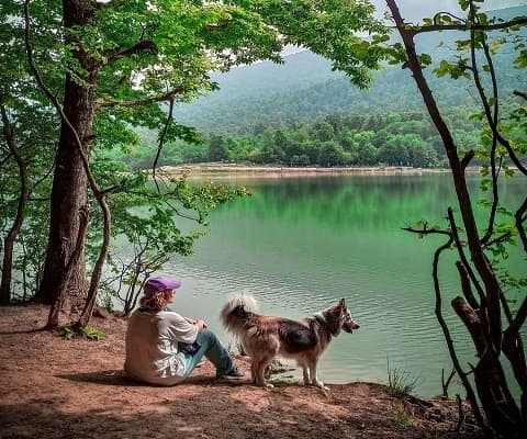 avidar lake 3 طبیعت زیبای دریاچه آویدر
