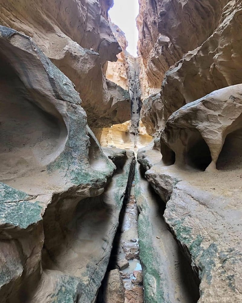 chahkooh canyon6 تنگه چاهکوه در فصل بهار