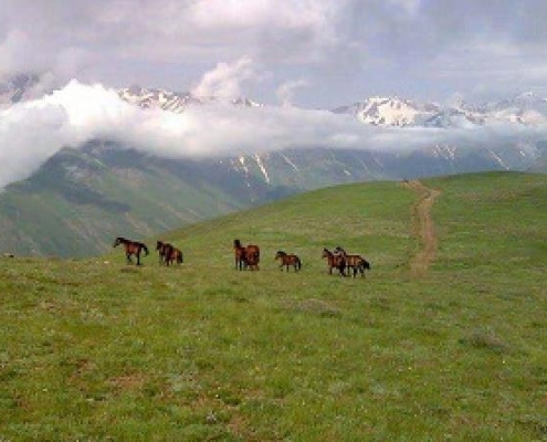dalir spa spring 7 تصویری از روستای دلیر مرزن آباد