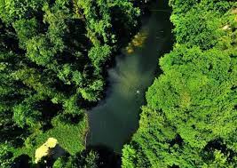 دریاچه فراخین از نمای بالا