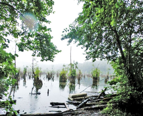 ghost lake 1 ghost lake 1