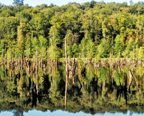 ghost lake 2 ghost lake 2