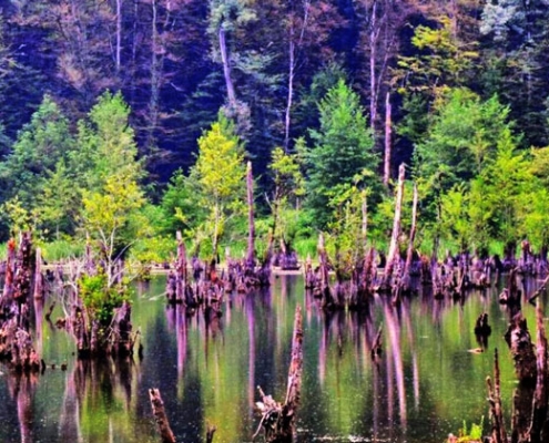 ghost lake 3 ghost lake 3