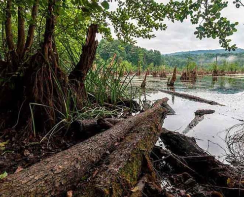 ghost lake 7 ghost lake 7