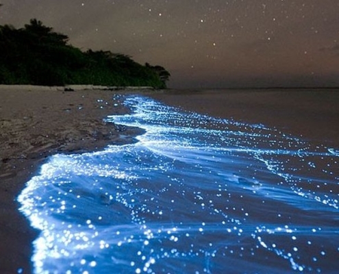 hengam island 4 hengam island 4