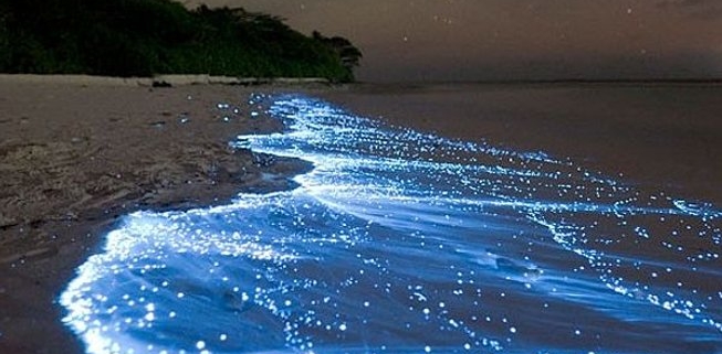 جزیره هنگام 9 hengam island 4