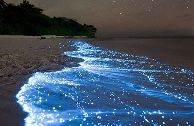 hengam island 4