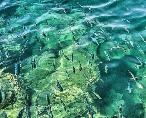 hengam island 8 hengam island 8