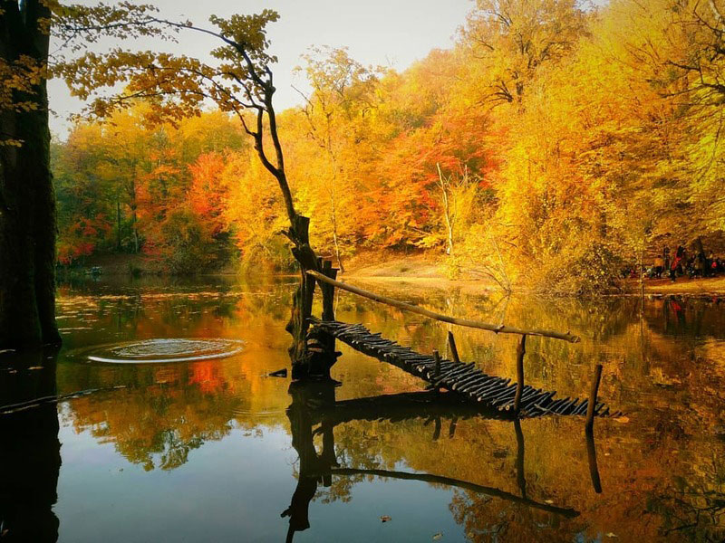 heseel lagoon1 مرداب هسل در پاییز