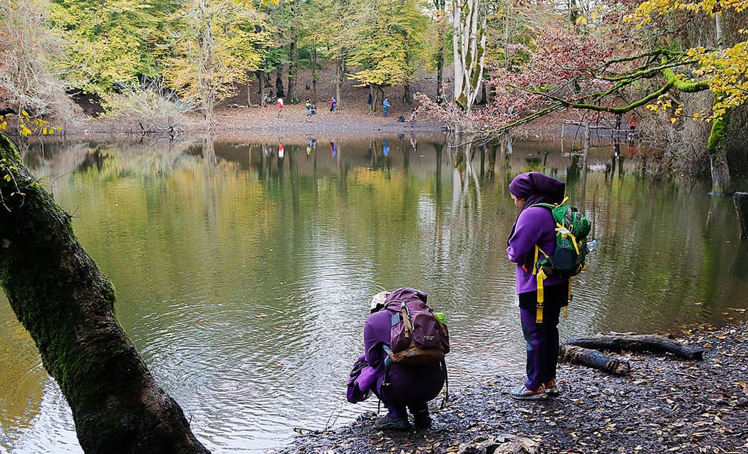 heseel lagoon5 مرداب هسل وگردشگران در اطراف ان