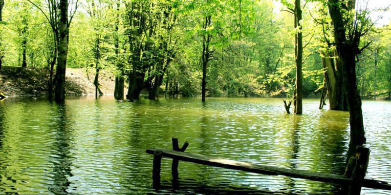 hessel lagoon3 مرداب هسل و اب وهوای دلچسب تابستانی