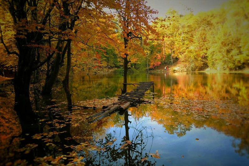 hessel lagoon4 مرداب هسل در زیباترین فصل سال