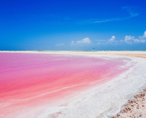 pink lake in golestan