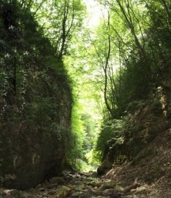 sange no waterfall1 sange no waterfall1