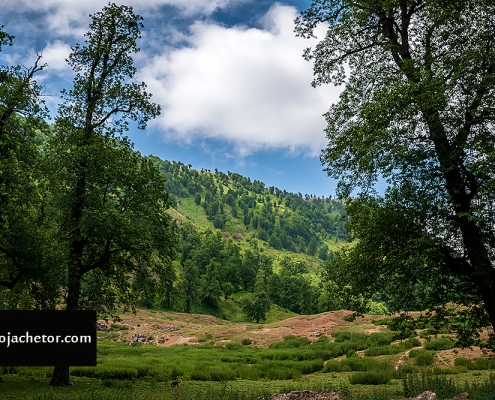 برفچال مینودشت در استان گلستان