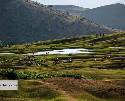 برفچال مینودشت