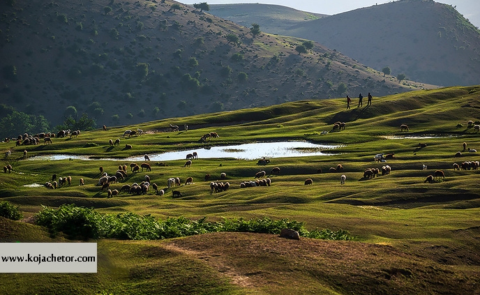 برفچال مینودشت