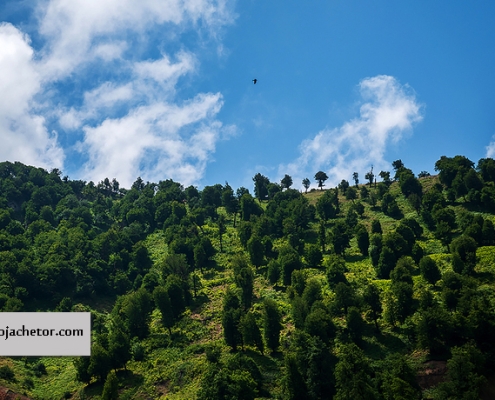 برفچال مینودشت گلستان