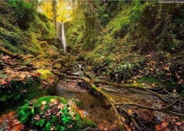 آبشار ترز 19 terez waterfall 4
