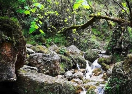 waterfall Chendar 2