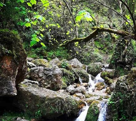 waterfall-Chendar-2 waterfall Chendar 2