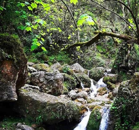 waterfall Chendar 2