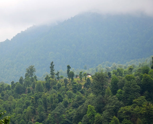 آبشار زمرد در آستارا