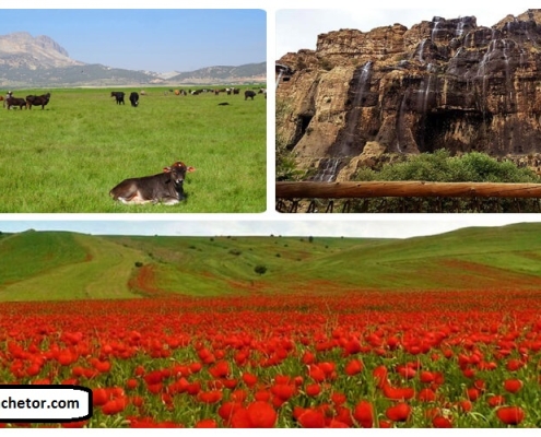 dasht arzhan iran shiraz