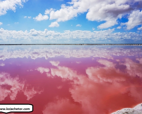 دریاچه مهارلو شیراز