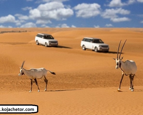 maranjab desert 11 maranjab desert 11