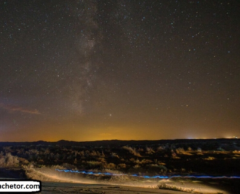 maranjab desert 5 maranjab desert 5