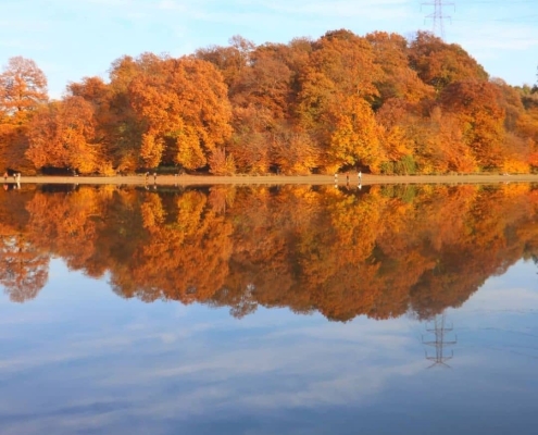 ab-bandan-karchang-4 آببندان روستای کرچنگ در پاییز