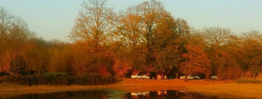 آب بندان کرچنگ در پاییز