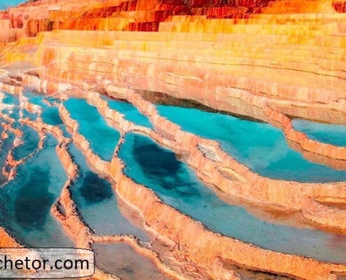 badab soort 1 badab soort 1