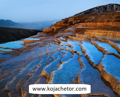 badab soort 4 badab soort 4