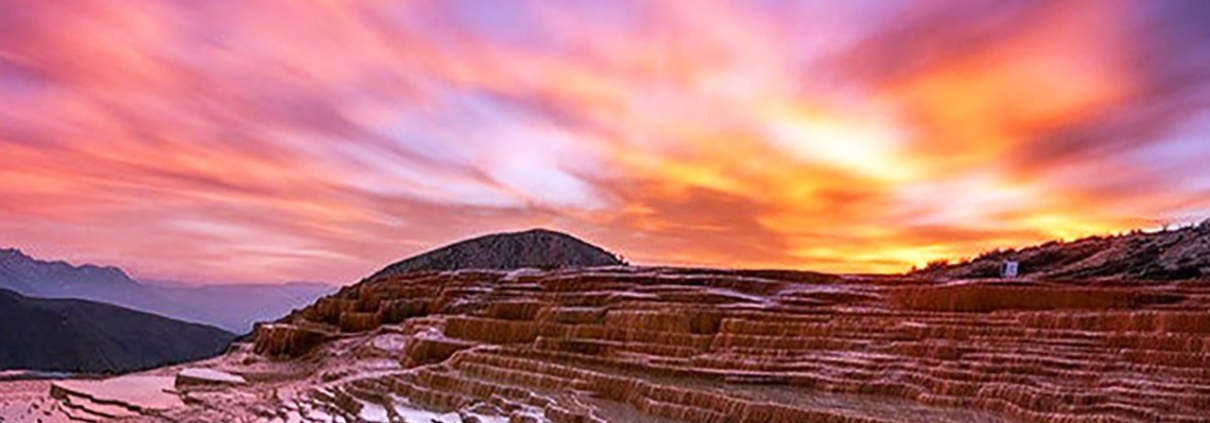 badab soort 5