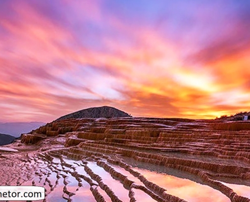 badab soort 5 badab soort 5