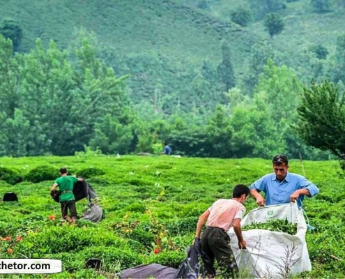 روستای سطلسر لاهیجان