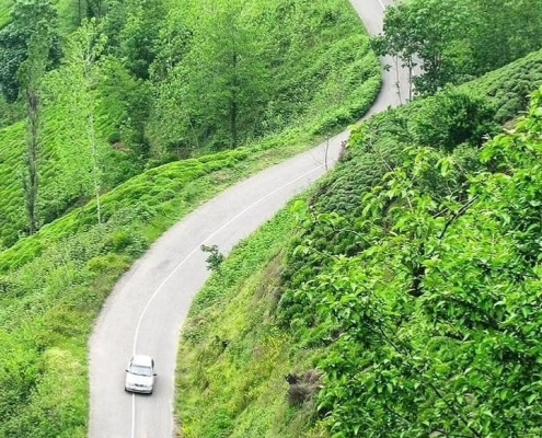 سطلسر لاهیجان پایتخت چای ایران