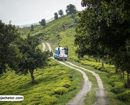 سطلسر لاهیجان