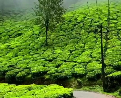 روستای سطلسر لاهیجان
