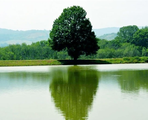 talab_karchang2 آببندان کرچنگ در قائمشهر