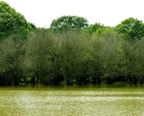 talab_karchang3 آب بندان کرچنگ در بهار