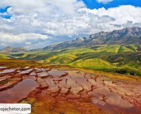 باداب سورت1 باداب سورت1