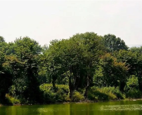 تالاب-کرچنگ2 تالاب کرچنگ در بهار